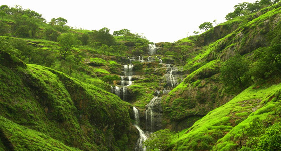 Photo of Discover COORG TRAILS with us - An Unconventional Experience 2/25 by Map Camera Travel