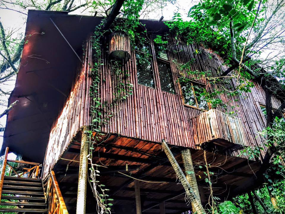 Photo of Tree House Resort | Jaipur, Kalwad Kalan and Khurd, Rajasthan, India by Anisha Gupta
