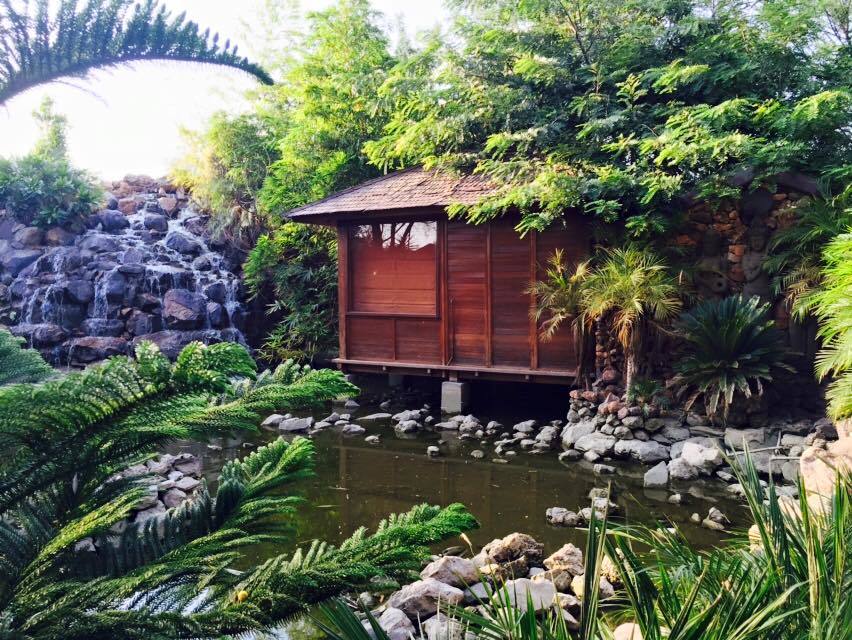 Photo of Tree House Resort | Jaipur, Kalwad Kalan and Khurd, Rajasthan, India by Anisha Gupta