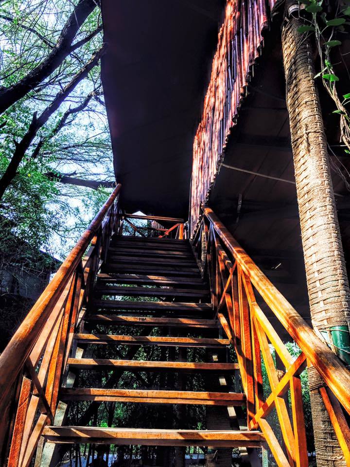 Photo of Tree House Resort | Jaipur, Kalwad Kalan and Khurd, Rajasthan, India by Anisha Gupta
