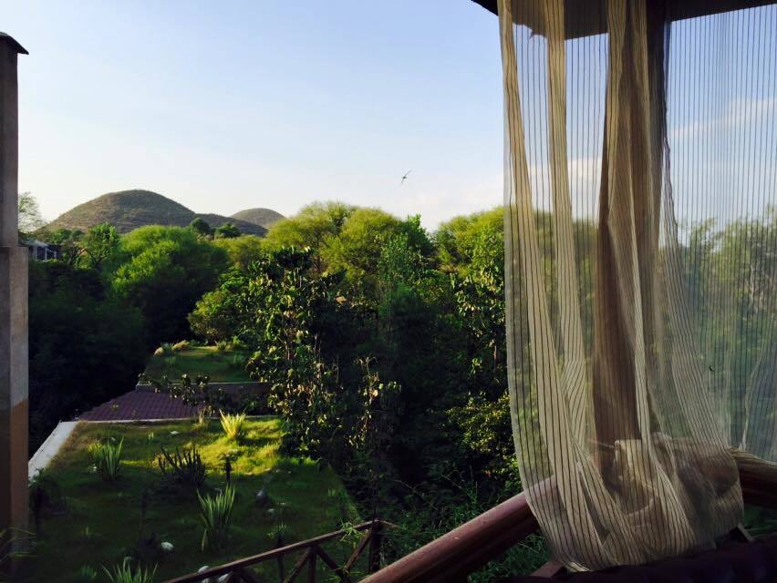 Photo of Tree House Resort | Jaipur, Kalwad Kalan and Khurd, Rajasthan, India by Anisha Gupta