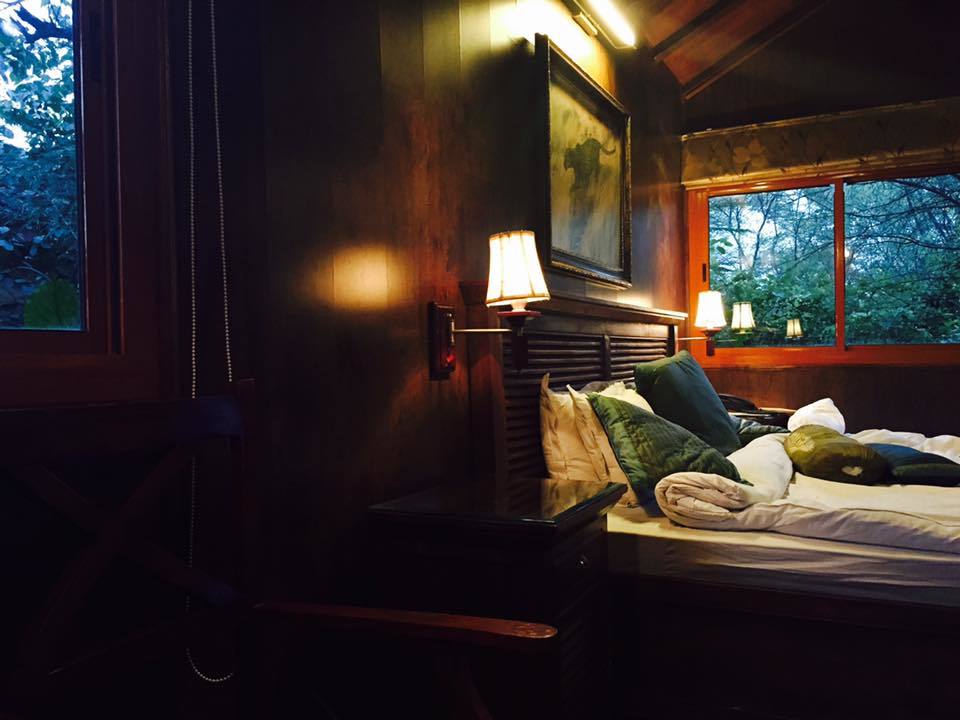 Photo of Tree House Resort | Jaipur, Kalwad Kalan and Khurd, Rajasthan, India by Anisha Gupta