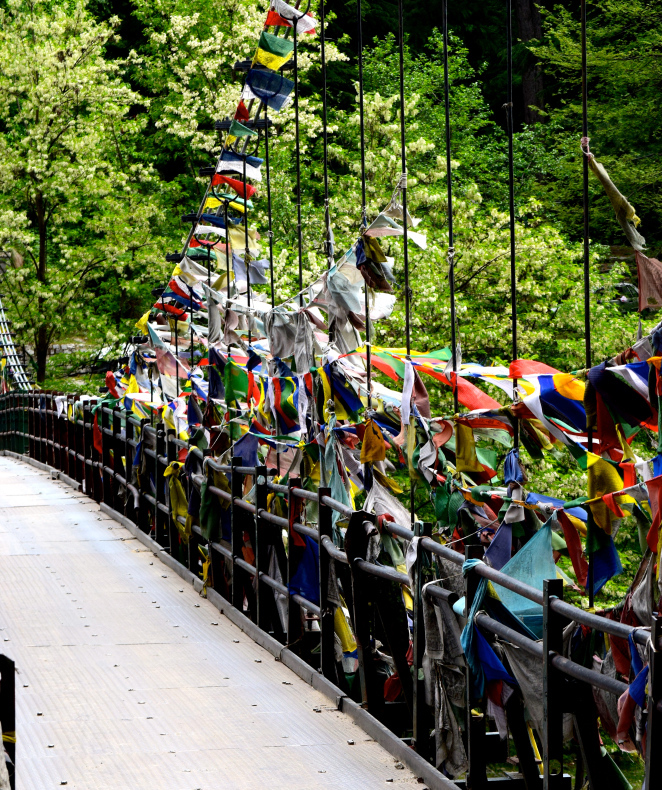 Photo of Manali Itinerary to sort your Summer End Vacay Goals 3/3 by Manmeet Kaur