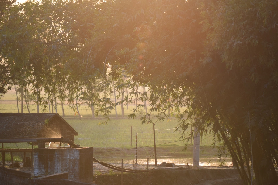 Photo of February Scenes Around Home: A Countryside Affair by Manmeet Kaur