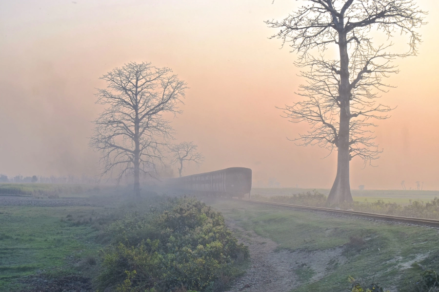 Photo of February Scenes Around Home: A Countryside Affair by Manmeet Kaur