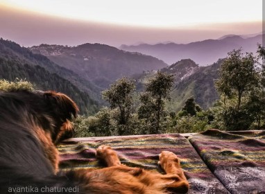 Photo of The Best Destination for a First Time Solo Traveller 1/5 by Avantika Chaturvedi