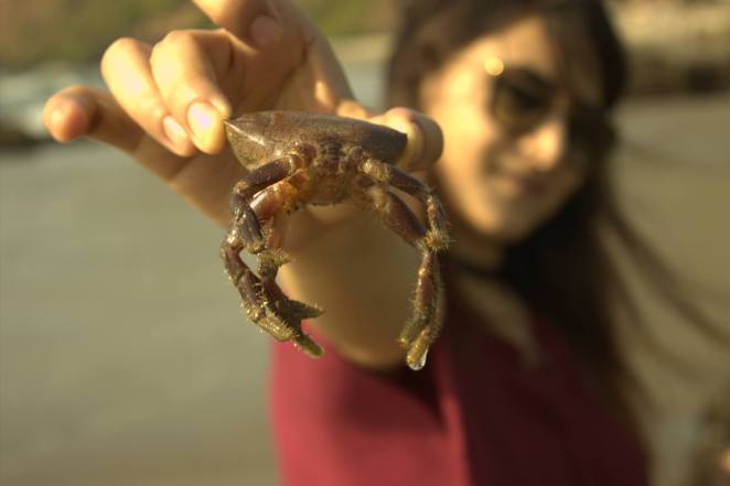 Photo of ABOUT LAST GOA TRAVEL Part -1 5/11 by Priyanka bisht