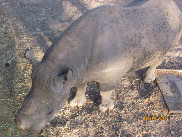 Photo of Kenya Travelogue... Continuation to the earlier post 7/10 by Nemish Parekh