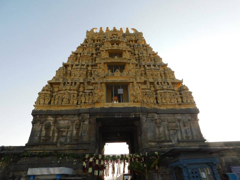 Photo of Solo Southern Karnataka 2/24 by Shekhar Shankar