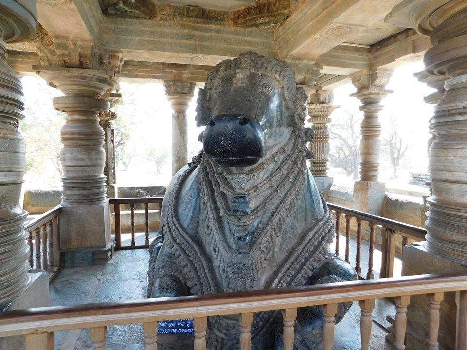 Photo of Solo Southern Karnataka 23/24 by Shekhar Shankar