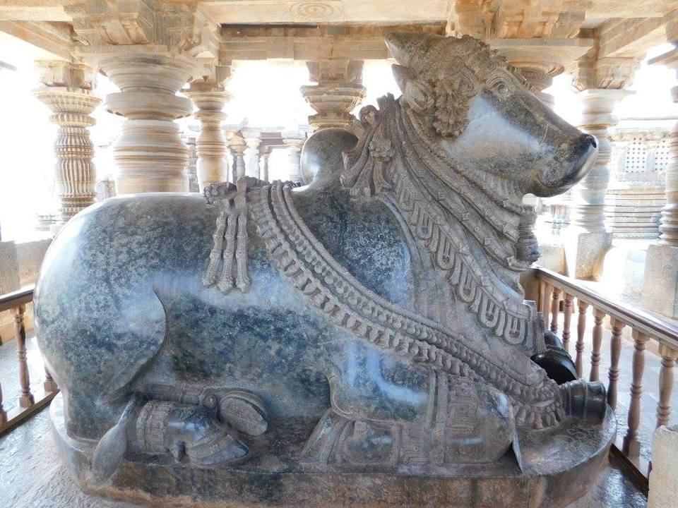 Photo of Solo Southern Karnataka 24/24 by Shekhar Shankar