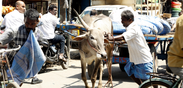 Photo of Cradle Of Madras: George Town by Abhishek Suresh Geeta