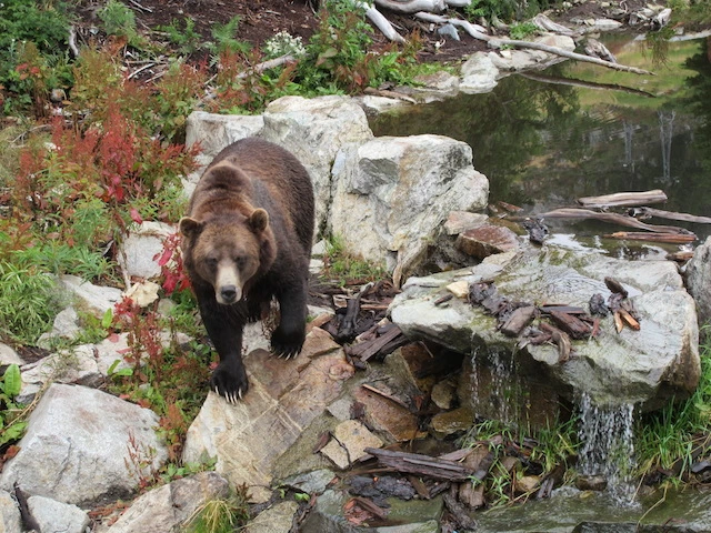 Photo of Beautiful British Columbia, Canada by Gypsea Trip