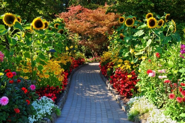 Photo of Beautiful British Columbia, Canada by Gypsea Trip