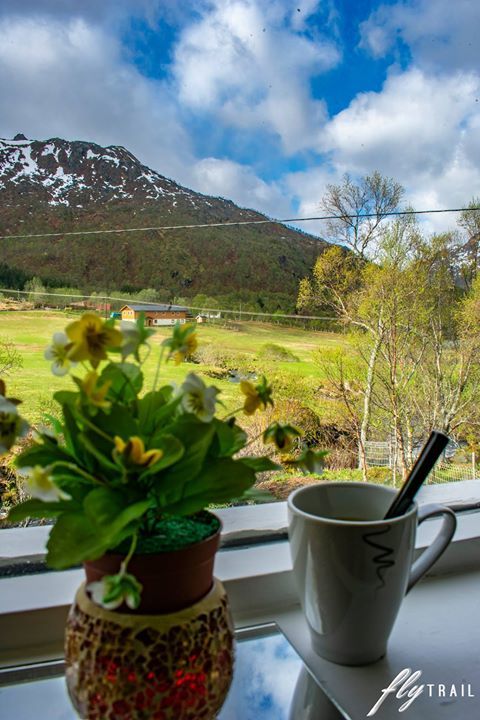 Photo of Raften, Norway by Procheta
