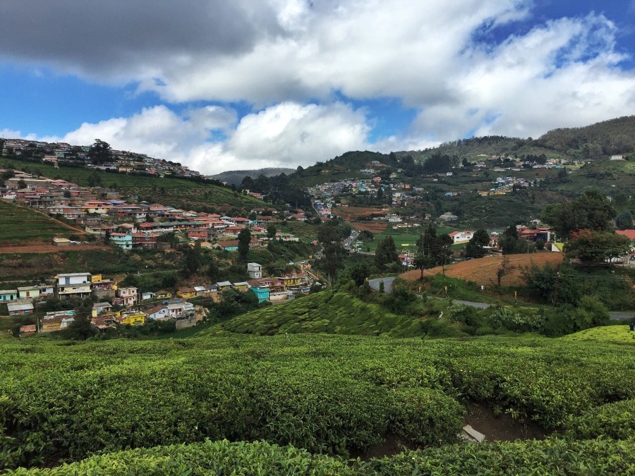Photo of De Rock- Jungle Living, Coonoor, Coonoor, Tamil Nadu, India by Ananya Ghosh