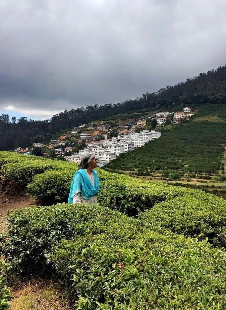 Photo of De Rock- Jungle Living, Coonoor, Coonoor, Tamil Nadu, India by Ananya Ghosh
