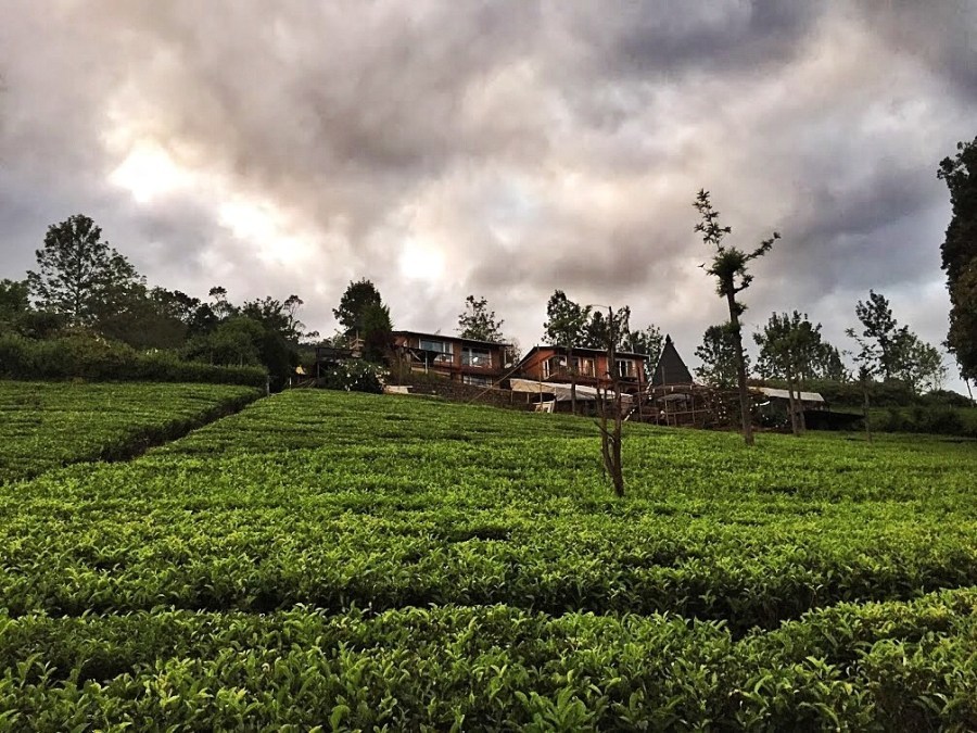 Photo of De Rock- Jungle Living, Coonoor, Coonoor, Tamil Nadu, India by Ananya Ghosh