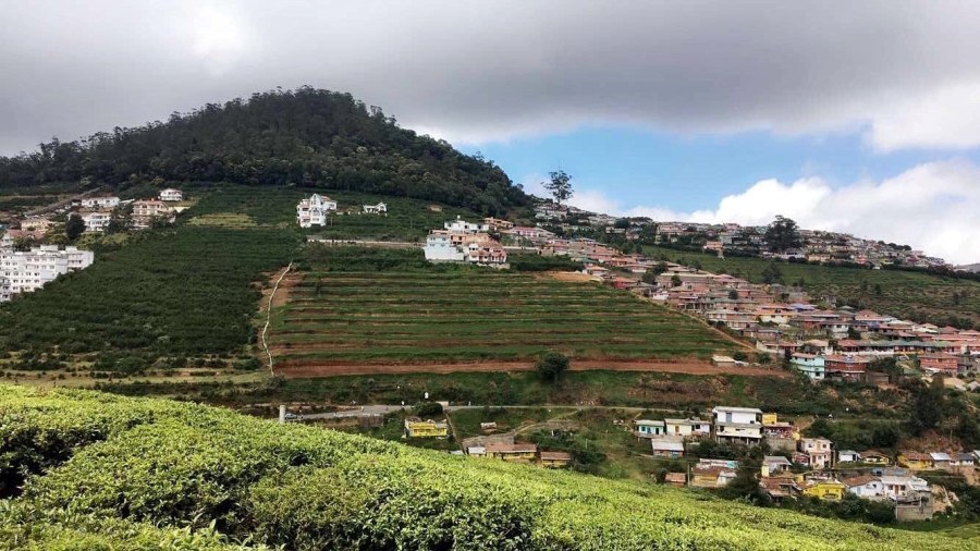 Photo of De Rock- Jungle Living, Coonoor, Coonoor, Tamil Nadu, India by Ananya Ghosh