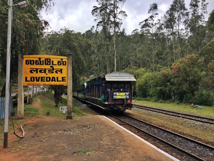 Photo of De Rock- Jungle Living, Coonoor, Coonoor, Tamil Nadu, India by Ananya Ghosh