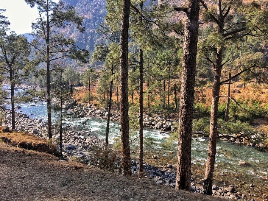 Photo of Kedarkantha Trek, Kedarkantha Trek Road, Bhel Chowk, Karanpur, Dehradun, Uttarakhand, India by Ananya Ghosh
