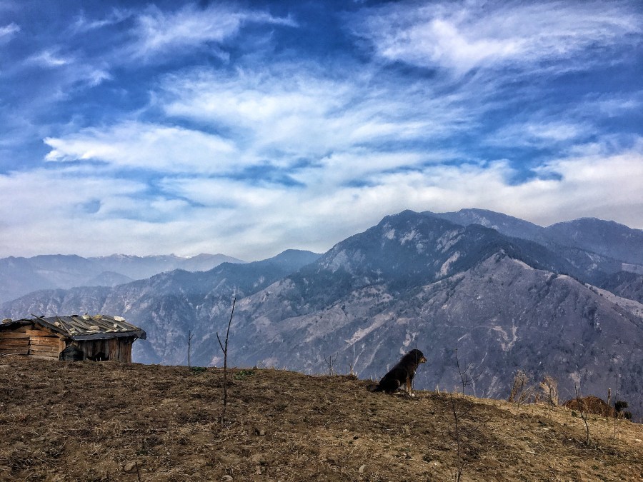 Photo of Kedarkantha Trek, Kedarkantha Trek Road, Bhel Chowk, Karanpur, Dehradun, Uttarakhand, India by Ananya Ghosh