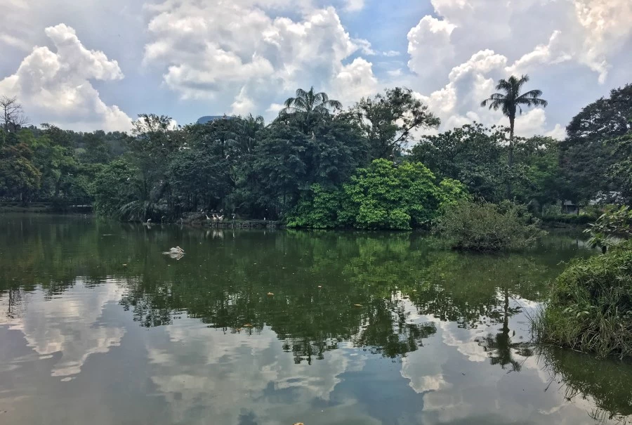 Photo of Firefly Park Resort, Kampung Bukit Belimbing, Kuala Selangor, Selangor, Malaysia by Ananya Ghosh