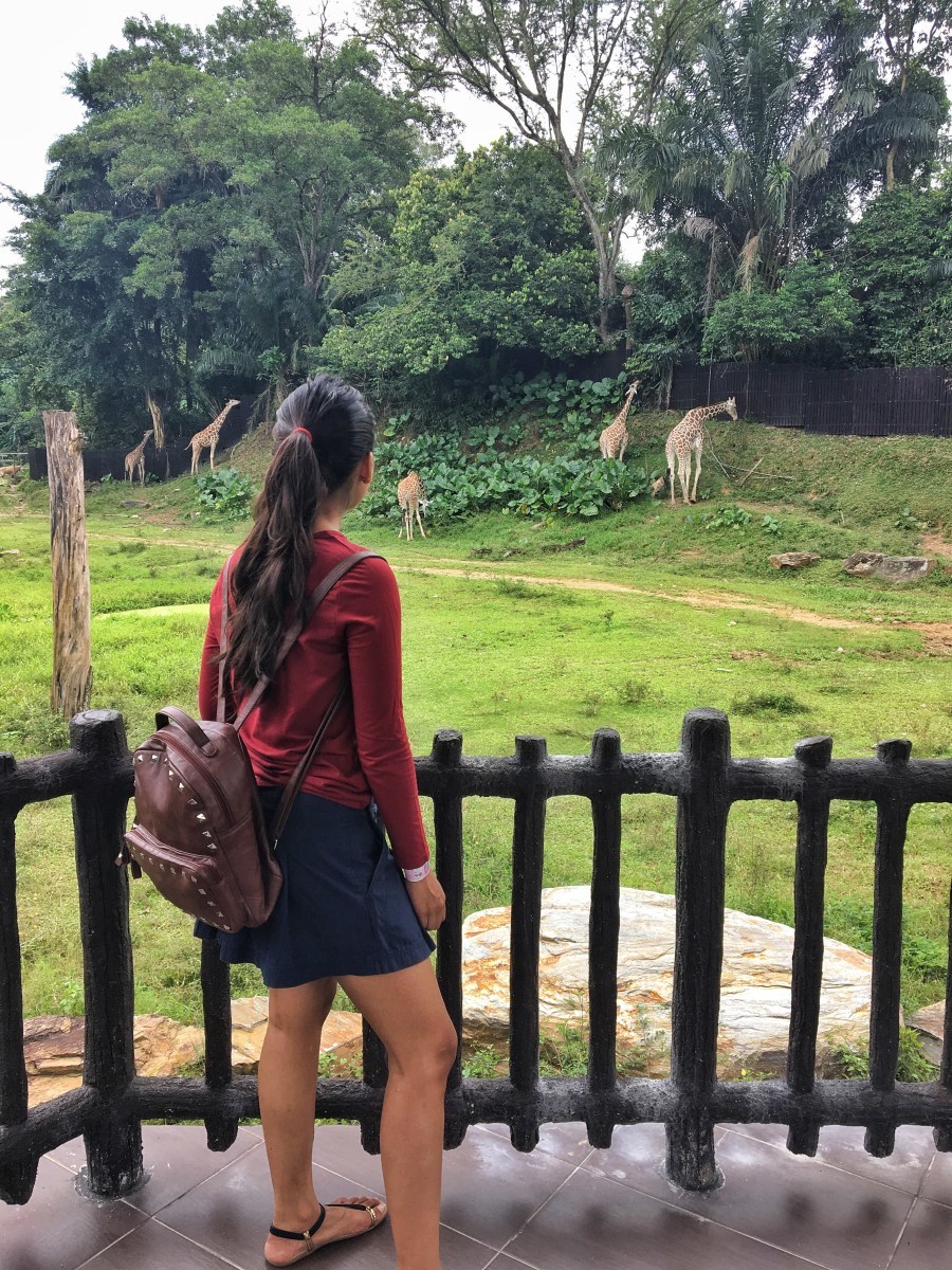Photo of Firefly Park Resort, Kampung Bukit Belimbing, Kuala Selangor, Selangor, Malaysia by Ananya Ghosh