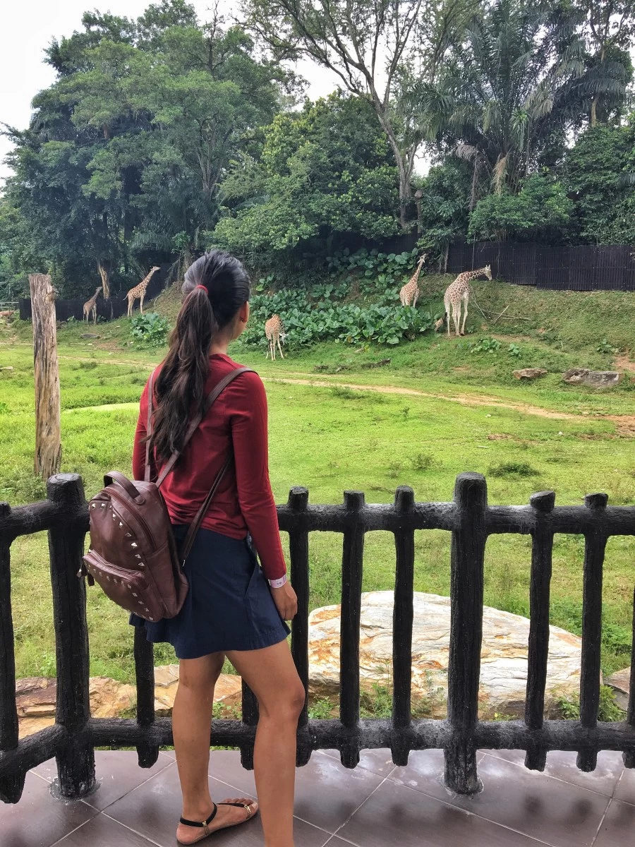 Photo of Firefly Park Resort, Kampung Bukit Belimbing, Kuala Selangor, Selangor, Malaysia by Ananya Ghosh