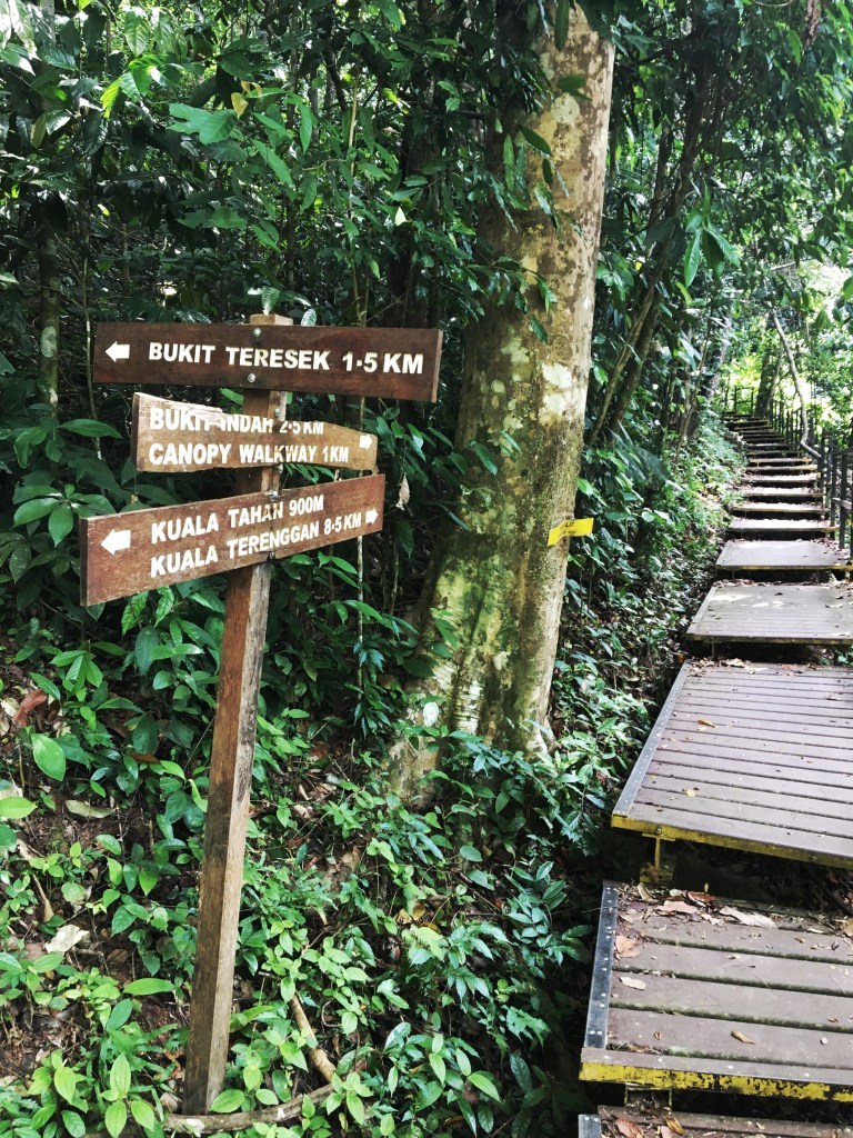 Photo of Mutiara Taman Negara, Pahang Darul Makmur, Pahang, Malaysia by Ananya Ghosh