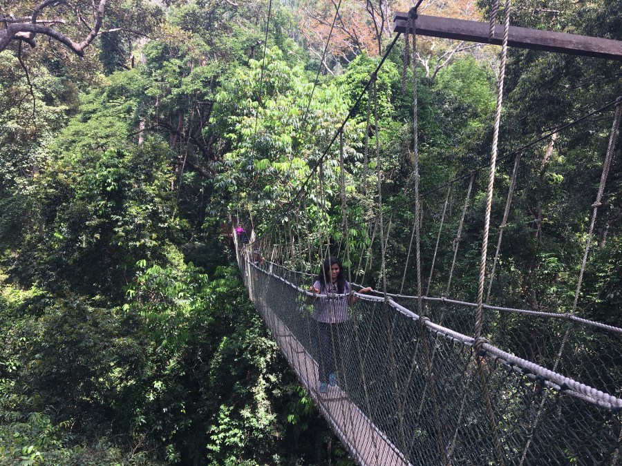 Photo of Mutiara Taman Negara, Pahang Darul Makmur, Pahang, Malaysia by Ananya Ghosh