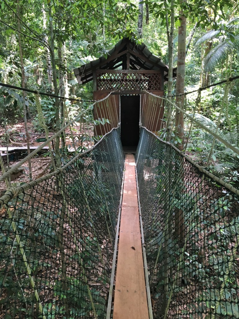 Photo of Mutiara Taman Negara, Pahang Darul Makmur, Pahang, Malaysia by Ananya Ghosh
