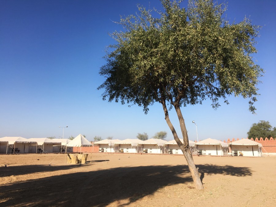 Photo of Camp Thar, Osian, Rajasthan, India by Ananya Ghosh