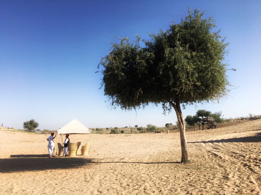 Photo of Camp Thar, Osian, Rajasthan, India by Ananya Ghosh