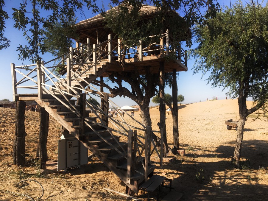 Photo of Camp Thar, Osian, Rajasthan, India by Ananya Ghosh