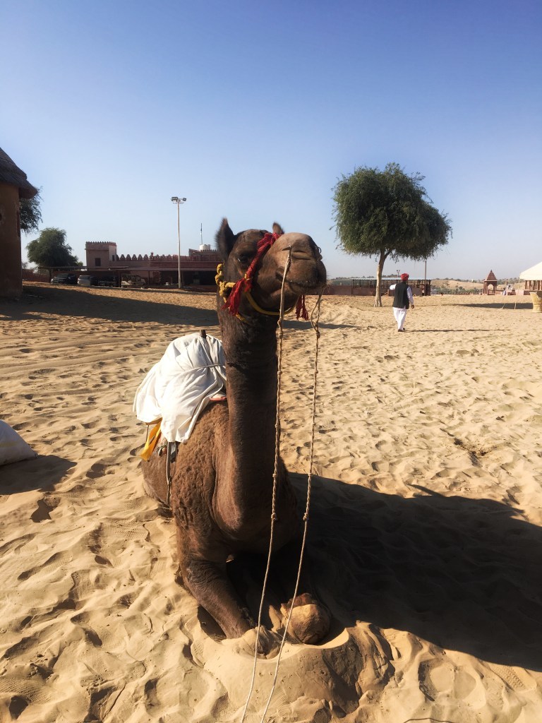Photo of Camp Thar, Osian, Rajasthan, India by Ananya Ghosh