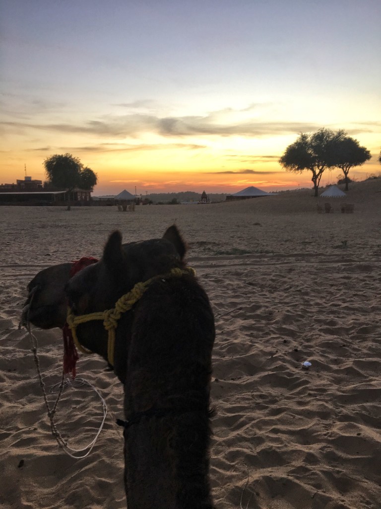 Photo of Camp Thar, Osian, Rajasthan, India by Ananya Ghosh