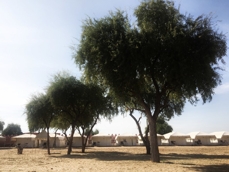 Photo of Camp Thar, Osian, Rajasthan, India by Ananya Ghosh