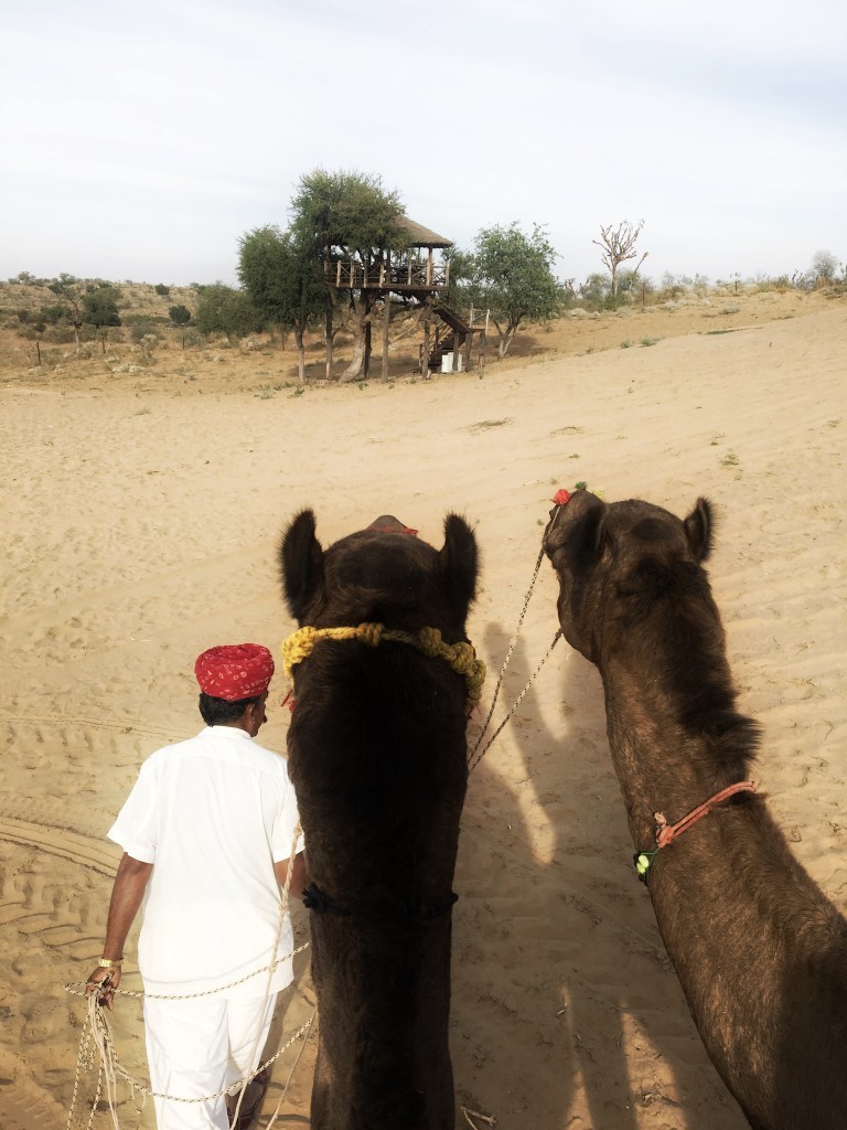 Photo of Camp Thar, Osian, Rajasthan, India by Ananya Ghosh