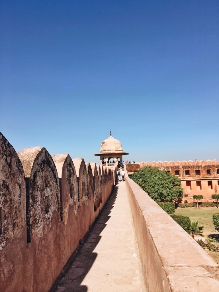 Photo of Jaipur - The Pink City | India 28/43 by Ananya Ghosh