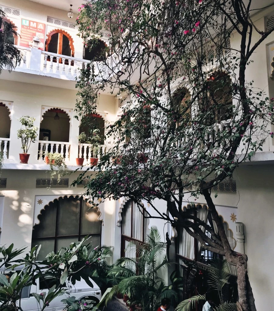 Photo of Lake Pichola Hotel, Panch Devri Marg, Outside Chandpole, Ambamata, Udaipur, Rajasthan, India by Ananya Ghosh