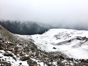 Photo of Dayara Bugyal trek, Uttarkashi, Uttarakhand, India by Ananya Ghosh
