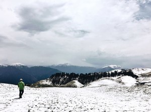 Photo of Dayara Bugyal trek, Uttarkashi, Uttarakhand, India by Ananya Ghosh