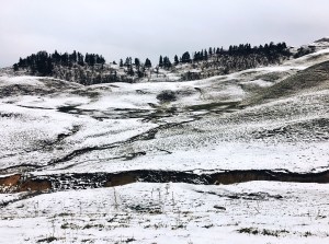Photo of Dayara Bugyal trek, Uttarkashi, Uttarakhand, India by Ananya Ghosh