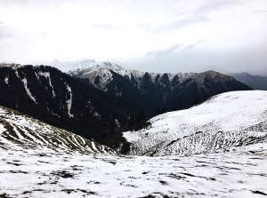 Photo of Dayara Bugyal trek, Uttarkashi, Uttarakhand, India by Ananya Ghosh