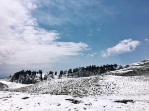 Photo of Dayara Bugyal trek, Uttarkashi, Uttarakhand, India by Ananya Ghosh