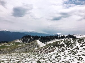 Photo of Dayara Bugyal trek, Uttarkashi, Uttarakhand, India by Ananya Ghosh