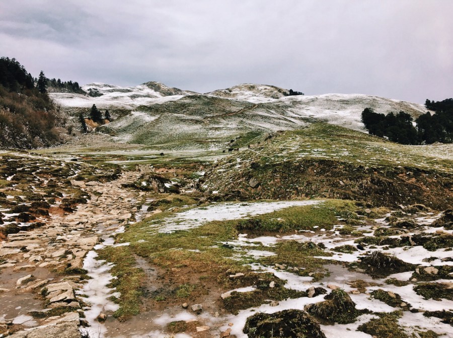 Photo of Dayara Bugyal trek, Uttarkashi, Uttarakhand, India by Ananya Ghosh