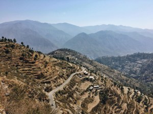 Photo of Dayara Bugyal trek, Uttarkashi, Uttarakhand, India by Ananya Ghosh