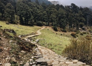 Photo of Dayara Bugyal trek, Uttarkashi, Uttarakhand, India by Ananya Ghosh